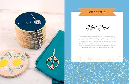 The 30-Day Embroidery Challenge: A Day-by-Day Guide to Learn New Stitches and Create Beautiful Designs (30-Day Craft Challenge)