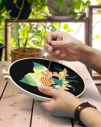 TINDTOP 4 Pack Embroidery Kit for Adult, Embroidery DIY Starter Kit - color: Shell