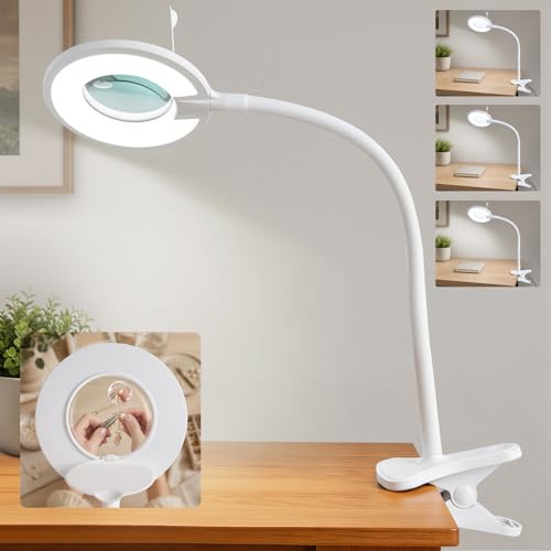 3X+6X Magnifying Glass with Light and Clamp,Dimmable LED Magnifying Lamp - color: Cool White