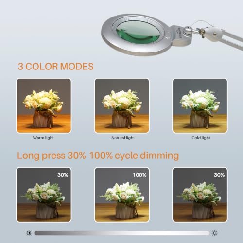 Bifocal Magnifying Lamp with Clamp, 5D with 20D, Silver - color: Silver