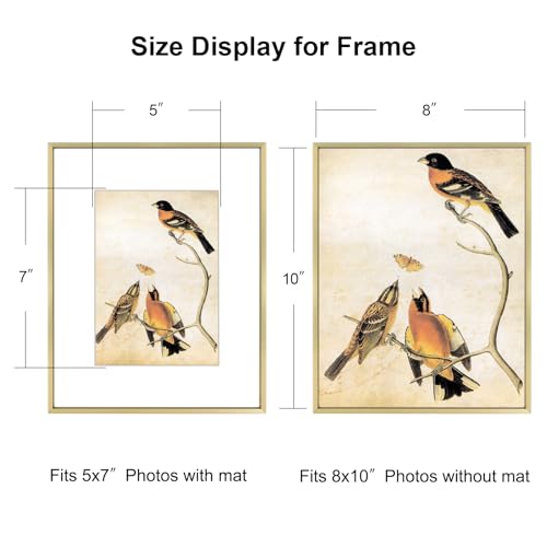 BKABOT 8x10 Brass Aluminum Picture Frames With 5x7 Mat Wall Table Display - color: Brass, size: 8x10-1P