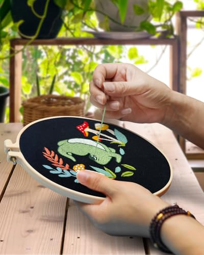 TINDTOP 3 Sets Embroidery Kit for Adults, Frog Embroidery Practice Kit - color: Frog