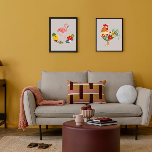 Louise Maelys Embroidery Kit for Beginners with Funny Rooster and Flower - color: Rooster