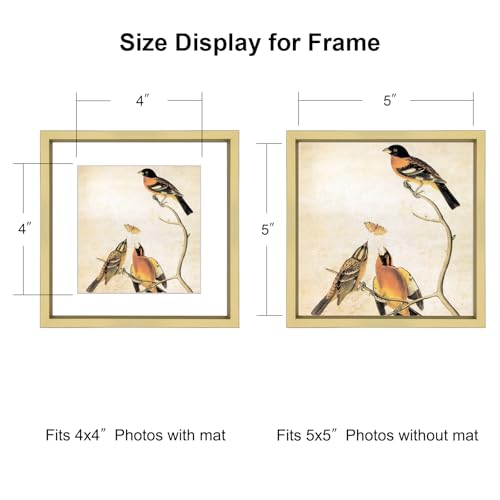 BKABOT 5x5 Brass Square Picture Frame HD Glass 3Pack 4x4 Mat Wall Table - color: Brass, size: 5x5