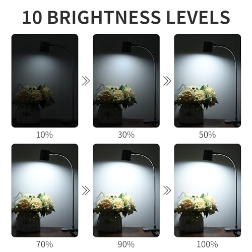 Dott Arts Desk Lamp,USB Clip On Light with 3 Color Modes,LED Reading Lamp - color: Gray