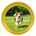 alfyng Round Photo Frame Wooden Wall Hanging Picture Frames Gold 8 inch - color: Gold, size: 8 inch