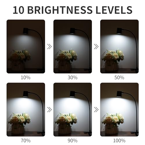 Desk Lamp USB Clip On Light,Book Lights for Reading at Night Clamp Light - color: Matte Black