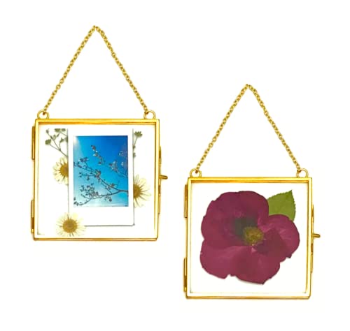 Beedecor Double Glass Frame for Pressed Flowers, Polaroid Photo and Artwork,Hanging Pressed Flower Frames,Wall Decor Clear Floating Frame Display for Kids Art and Memento (Gold, 4x4) - color: Gold, size: 4x4