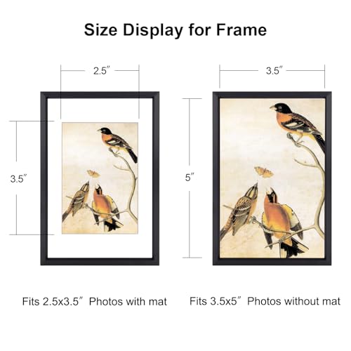 BKABOT 3.5x5 Black Picture frame 3 Pack HD Glass Mat 2.5x3.5 Wall Table - color: Black, size: 3.5x5