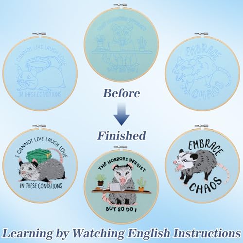 Mindsoft 3 Set Needlepoint Kit for Beginners with Hoop,Possum - style: Possum