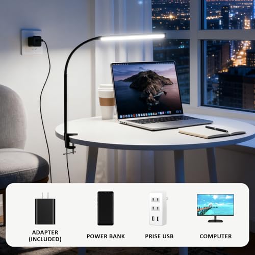 Clip on Desk Lamp with Clamp,Dimmable Eye Caring Book Reading Light for Bed