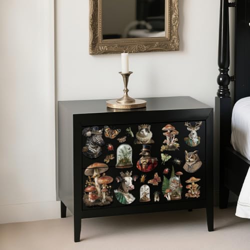OLYCRAFT 3 Sheets Vintage Animals Rub on Transfers 6x12 Inch Animal Portraits Furniture Transfers Self-Adhesive Waterproof Transfer Insects Rub on Decals for Wood Glass Porcelain Dressers Home Decor - style: Animal portrait