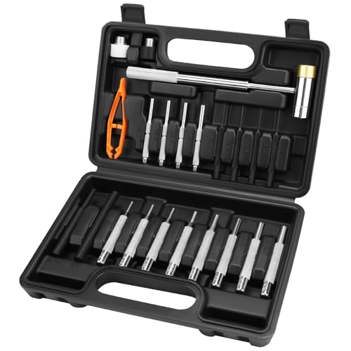 HORUSDY 22-Piece Punch and Hammer Set, Steel Roll Pin Punch Set with Interchangeable Hammer Heads, Durable Punch Tool Kit for Maintenance, with Storage Case