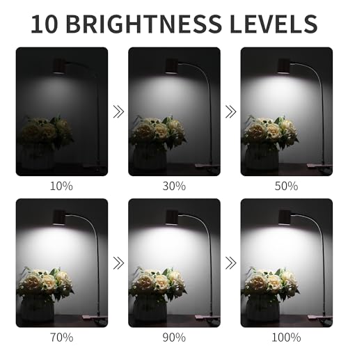 Dott Arts Desk Lamp,USB Clip On Light with 3 Color Modes,LED Reading Lamp - color: Pink