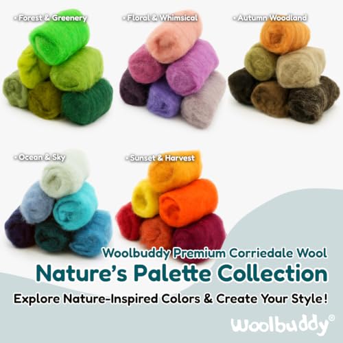 Woolbuddy Corriedale Wool Roving Kit for Needle Felting (Brown) 20g Each - color: Brown