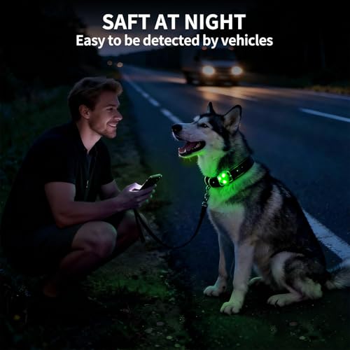 LaRoo Dog Lights - Led Collar Lights for Nighttime Walking - color: Green-A