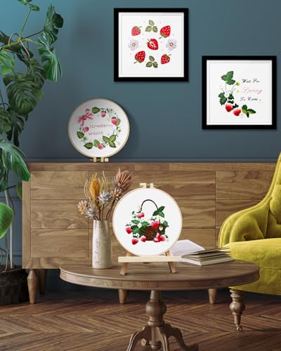 TINDTOP Embroidery Kit for Adult, 4 Pack Cross Stitch Practice Kits - color: Strawberry