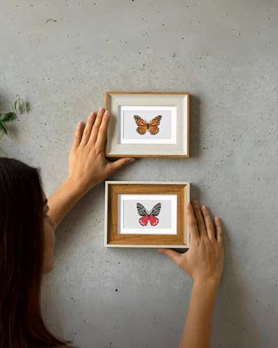 PeakLuv Small Diamond Art Kits Butterfly Mini Diamond Painting Kits - color: Butterfly