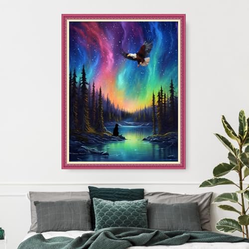 Funxvoot Stamped Cross Stitch Kits Beginners Full Range of Embroidery Kits for Adults 11CT Embroidery Patterns Needlepoint Kits Printed Cross Stitch Kits-Northern Lights Scenery 16x20 inch - color: Craftsstyle01