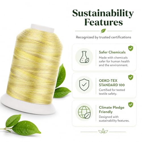Simthread Variegated 5000M 40WT Embroidery Thread, Variegated S148