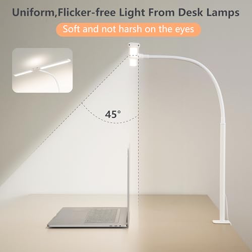 Dual-Head LED Desk Lamp for Office Home, Adjustable Flexible Eye-Caring Desk Light, 5 Modes 10 Brightness Adjustment, USB Adapter Desk Lamp with Clamp-ST-W - style: Double Head White