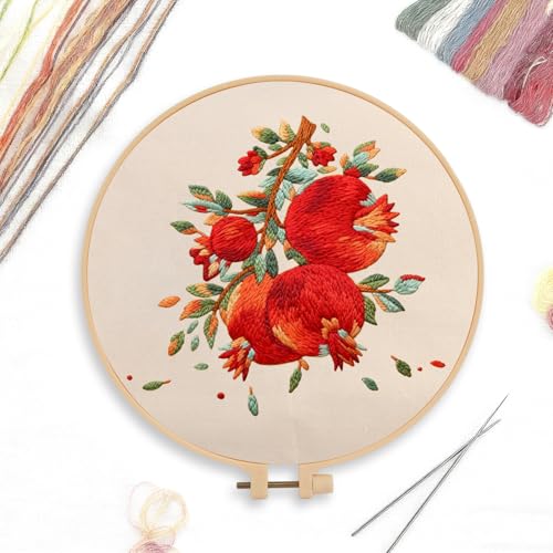 CREAWONDER Canvas Tote Bag Embroidery Kit with Pattern for Beginners, Arts and DIY Embroidery Crafts Kits for Adults, Include Instructions, Embroidery Hoops, Color Threads and Tool - color: CR002 shiliuranran white