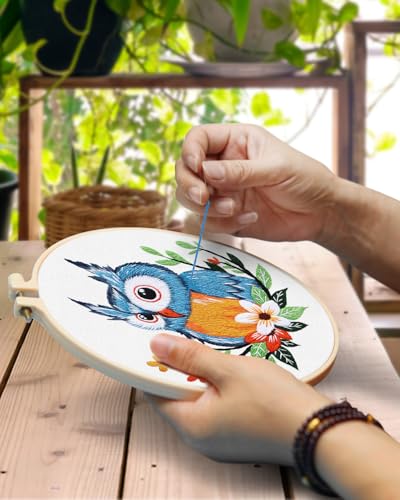 TINDTOP Embroidery Kit for Adults, Owl Embroidery Practice Kit - color: Owl