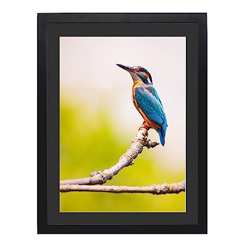 Mxtallup 12x16 Diamond Painting Frame with 10x14 in Black Mat ，Display Pictures 10x14 in With Mat or 12x16 in Without Mat, 30x40 cm Poster Picture Frames 25x35 cm Photo Frames Wood,Black