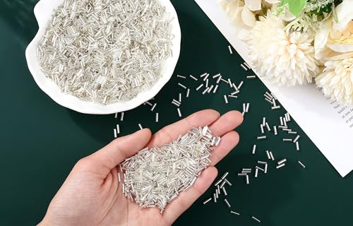 XIANNVXI 3000pcs Silver Glass Bugle Beads - color: Silver