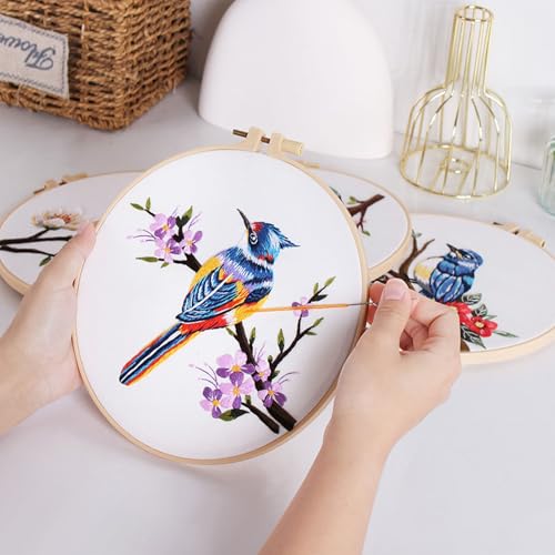 GLTAYLMY 3 Sets Embroidery Kit for Beginners Needlepoint Cross Stitch Kits for Adults,Stitch Learning DIY Kit with Easy Instruction,Stamped Bird Embroidery Patterns,Hoop,Threads,Sewing Hobby - color: BirdEK