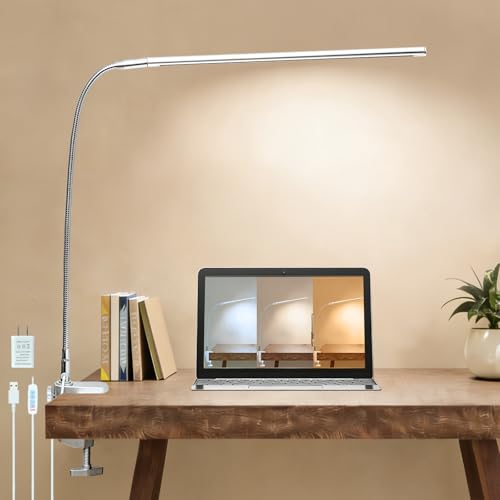 Space Aluminum LED Desk Lamp with Clamp Reading Study Desk Light