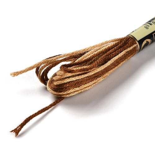 10 Skeins Coconut Brown 0.5mm 6-Ply Polyester Embroidery Floss Cross Stitch Threads Segment Dyed Gradient for DIY Craft Hand Sewing Knitting DIY Crafts Jewelry Making 8.75 Yards(8m)/Skein - color: Coconut Brown