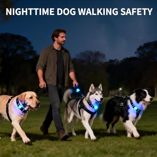 LaRoo LED Dog Collar Light - Waterproof Clip-On 3 Modes, High Visibility for Night Walking/Camping, Pet Safety Light for Small/Medium/Large Dogs (Blue) - color: Blue-A