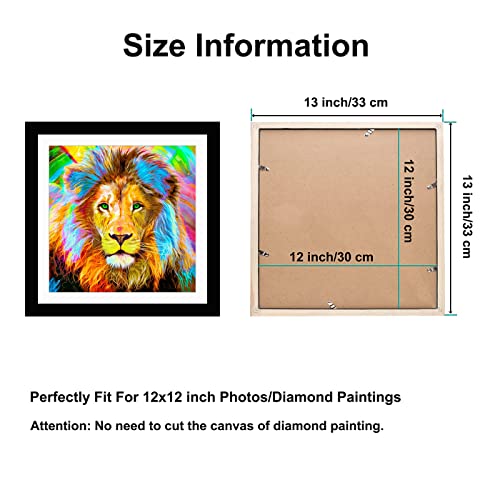 Betionol Diamond Painting Frames Set of 2, Display 12x12in/30x30cm Diamond Painting Pictures or Photos, Black Natural Solid Wood Picture Frame with Acrylic Protection Glass, Back Mat And Hanging Kit - style: Black - Double