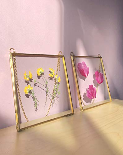 Glass Frame for Pressed Flowers, Leaf and Artwork - Hanging Gold 6x6 Square Metal Picture Frames, Clear Double Glass Floating Frame, Wall Decor Photo Display, Set of 2 Flower Press Frames with Chain - color: Gold, size: 6x6