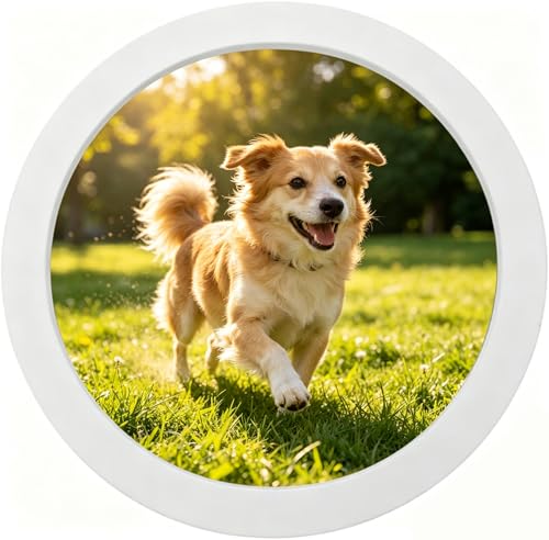 alfyng Round Photo Frame Wooden Wall Hanging Picture Frames White 6 inch - color: White, size: 6 inch