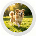 alfyng Round Photo Frame Wooden Wall Hanging Picture Frames White 10 inch - color: White, size: 10 inch