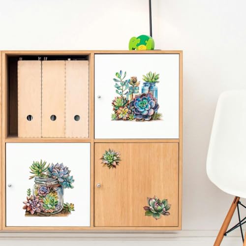 Peacoblue Succulent Rub On Transfers for Furniture Craft 6"x12" - style: Succulent and Cactus