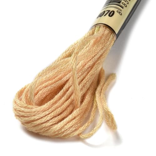 10 Skeins Dark Khaki 0.5mm 6-Ply Polyester Embroidery Floss Cross Stitch Threads Segment Dyed Gradient for DIY Craft Hand Sewing Knitting DIY Crafts Jewelry Making 8.75 Yards(8m)/Skein - color: Dark Khaki