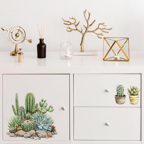 Peacoblue Succulent Rub On Transfers for Furniture Craft 6"x12" - style: Succulent and Cactus