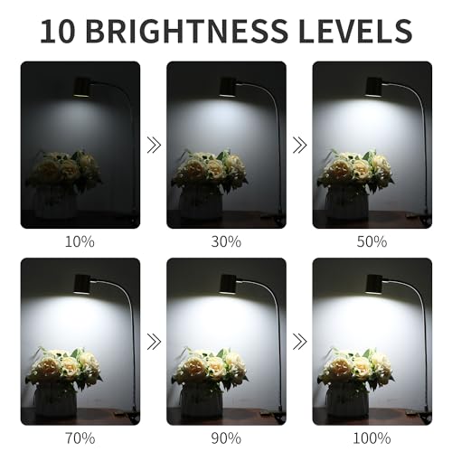 Dott Arts Desk Lamp,USB Clip On Light with 3 Color Modes,LED Reading Lamp - color: Dark Yellow