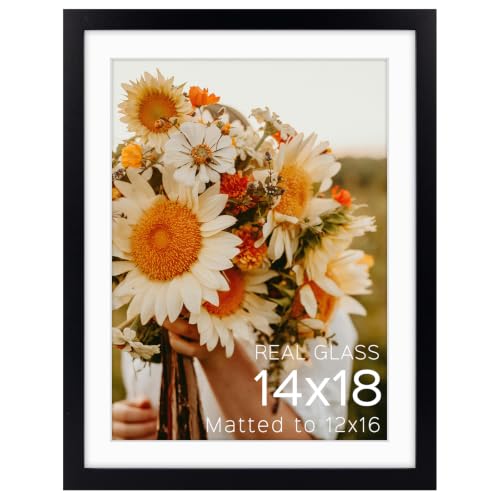 Golden State Art 14x18 Black Picture Frame Mat for 12x16 Real Glass - color: Black, size: 14x18