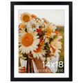Golden State Art 14x18 Black Picture Frame Mat for 12x16 Real Glass - color: Black, size: 14x18