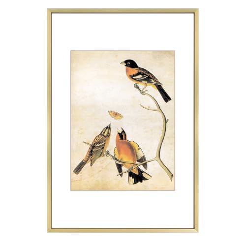 BKABOT 8x12 Brass Photo frames 1 Pack HD Glass Mat For 6x8 Wall Table Decor - color: Brass, size: 8x12-1P