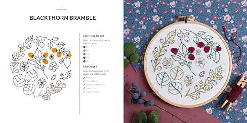 Embroidery Made Easy: Botanical Bliss: 12 beginner-friendly embroidery patterns with iron-on transfers