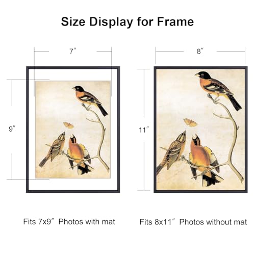 BKABOT 8x11 Black Aluminum Photo frames 1 Pack HD Glass Mat 7x9 Wall Table - color: Black, size: 8x11-1P