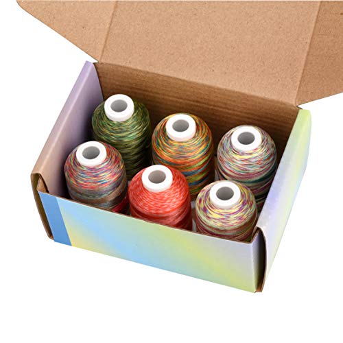 Simthread 6 Colors Polyester Variegated Embroidery Machine Thread 1100 Yards (1000M) for Decoration Babylock Singer Brother Janome Pfaff Husqvarna Embroidery and Sewing Machines - Festival Series - color: Festival