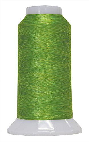 Superior Threads Fantastico 2-Ply 40-Weight High Strength Polyester Embroidery Quilting Sewing Thread - 2,000 Yard Cone (#5113 Lime Light) - color: Lime Light