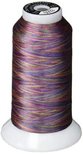 Superior Threads Fantastico 2-Ply 40-Weight High Strength Polyester Embroidery Quilting Sewing Thread - 2,000 Yard Cone (#5003 Magic Carpet) - color: Magic Carpet