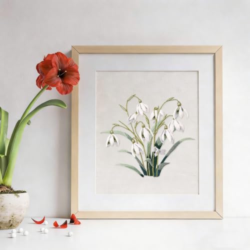 3 Packs Embroidery Kit for Adults, Embroidery for Beginners (Floral) - color: Floral